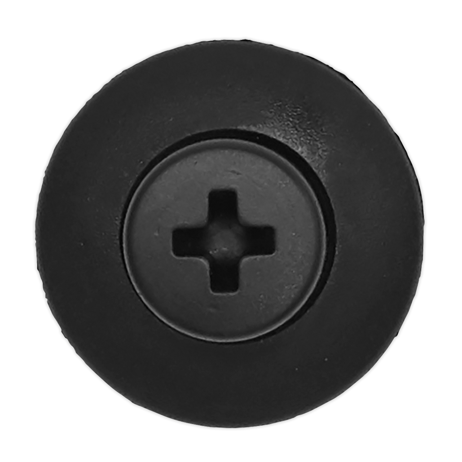 Sealey TCSR2023 Screw Rivet, Diameter 20mm x 30mm, Ford, Kia, Mazda, Nissan - Pack of 20