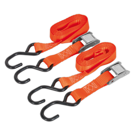Sealey TD05025CS 25mm x 2.5m Polyester Webbing Cam Buckle Tie Down with S-Hooks 500kg Breaking Strength