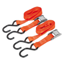 Sealey TD05025CS 25mm x 2.5m Polyester Webbing Cam Buckle Tie Down with S-Hooks 500kg Breaking Strength