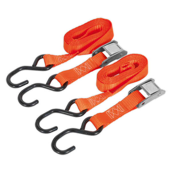 Sealey TD05025CS 25mm x 2.5m Polyester Webbing Cam Buckle Tie Down with S-Hooks 500kg Breaking Strength