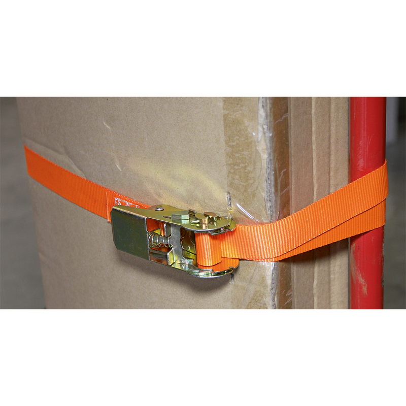 Sealey TD05045E 25mm x 4.5m Self-Securing Ratchet Tie Down 500kg Breaking Strength - Pair