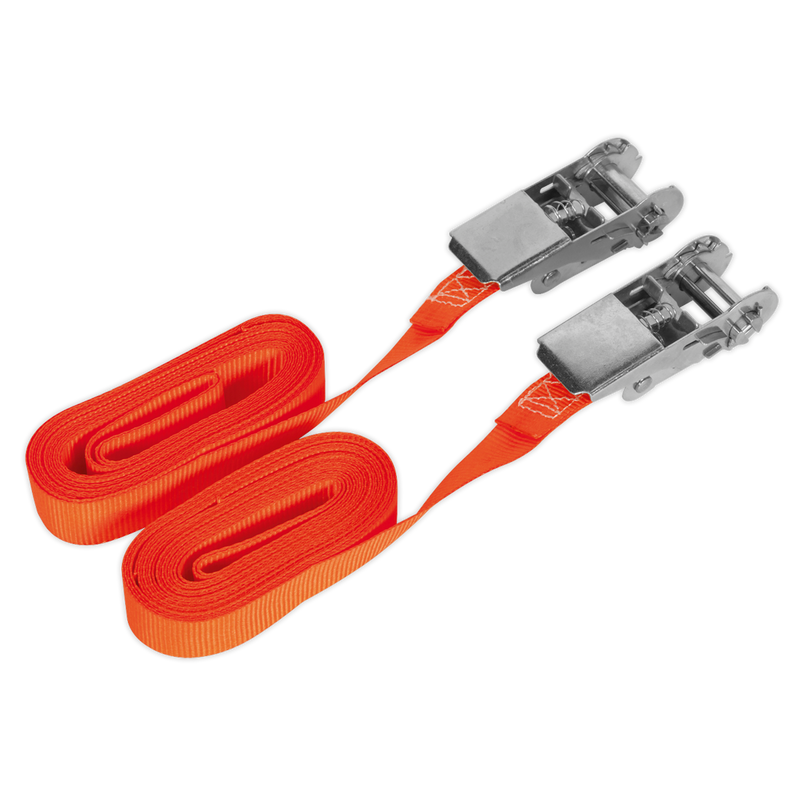 Sealey TD05045E 25mm x 4.5m Self-Securing Ratchet Tie Down 500kg Breaking Strength - Pair