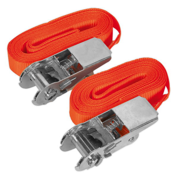 Sealey TD05045E 25mm x 4.5m Self-Securing Ratchet Tie Down 500kg Breaking Strength - Pair