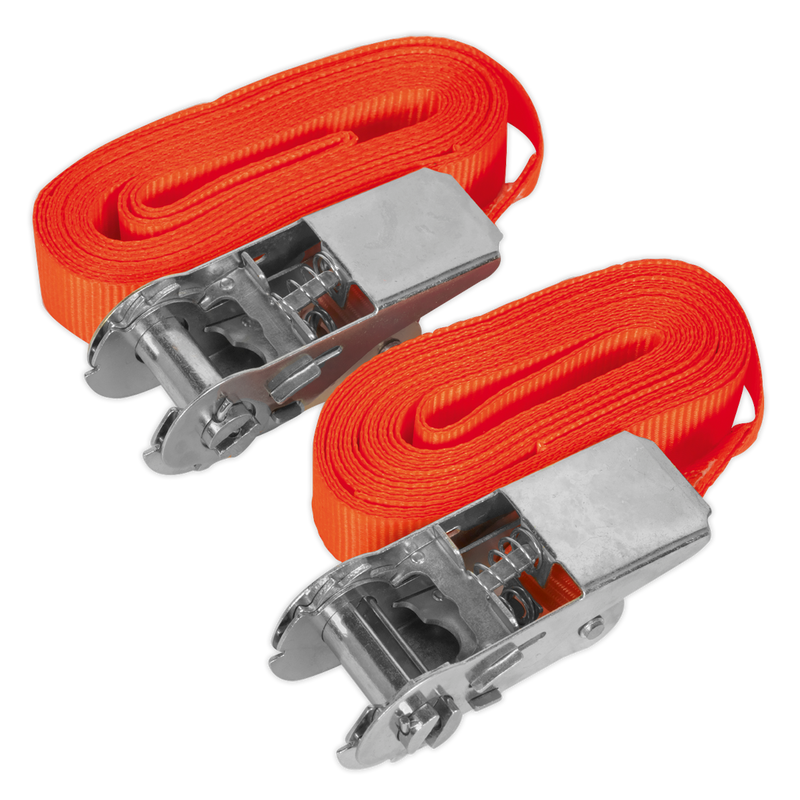 Sealey TD05045E 25mm x 4.5m Self-Securing Ratchet Tie Down 500kg Breaking Strength - Pair