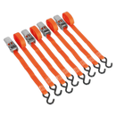 Sealey TD0540S4 25mm x 4m Polyester Webbing Ratchet Tie Down with S-Hooks 500kg Breaking Strength - 2 Pairs