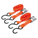Sealey TD2525CS 25mm x 2.5m Polyester Webbing Cam Buckle Tie Down with S-Hooks 250kg Breaking Strength