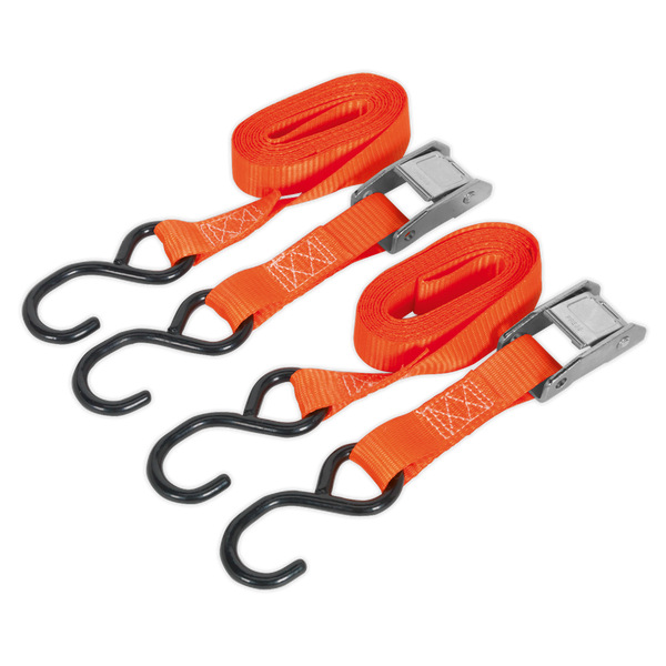 Sealey TD2525CS 25mm x 2.5m Polyester Webbing Cam Buckle Tie Down with S-Hooks 250kg Breaking Strength