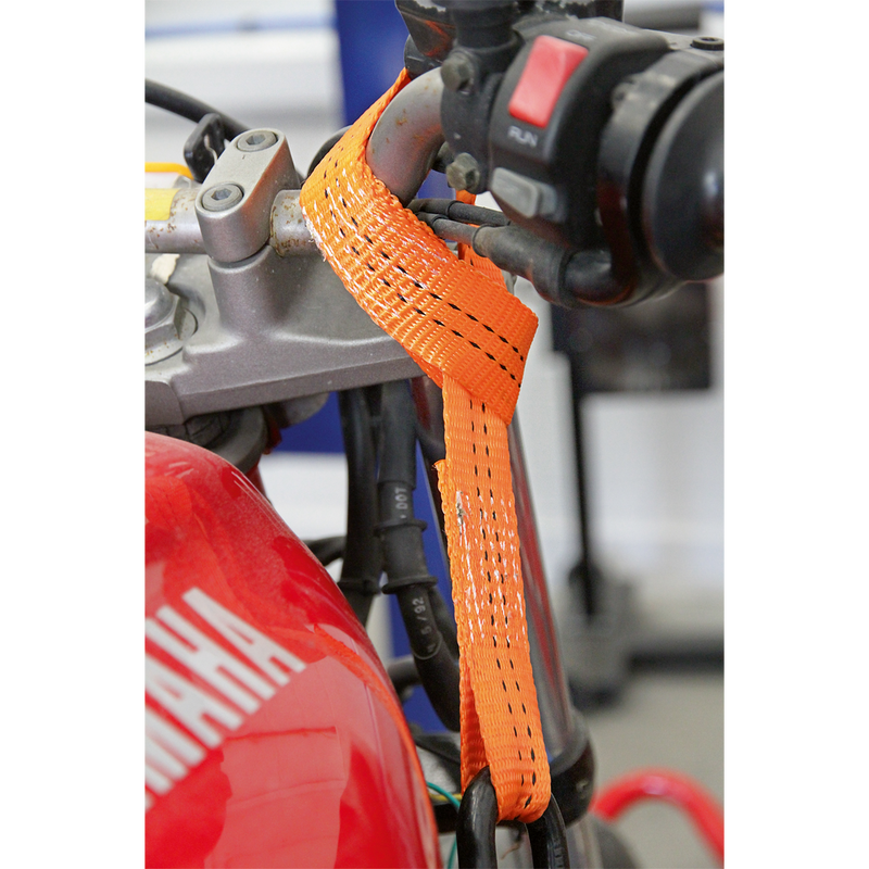 Sealey TDL01 Tie Down Securing Loop - Pair