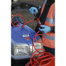 Sealey TP50 Multipurpose Syphon & Pump Kit