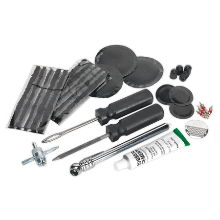 Sealey TST09 Temporary Puncture Repair & Service Kit