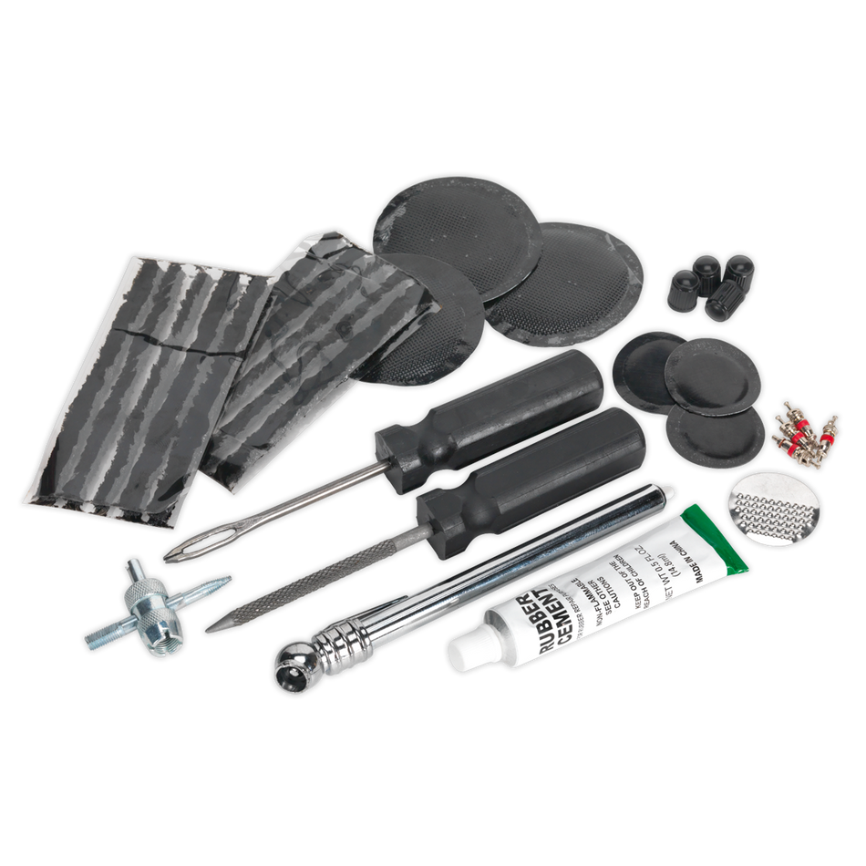 Sealey TST09 Temporary Puncture Repair & Service Kit