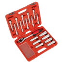 Sealey VS0331 18pc Shock Absorber Strut Nut Kit