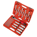 Sealey VS0331 18pc Shock Absorber Strut Nut Kit