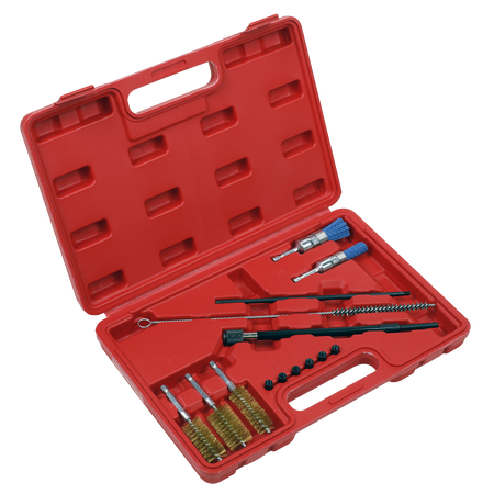 Sealey VS1900 14pc Injector Bore Cleaning Brush Set