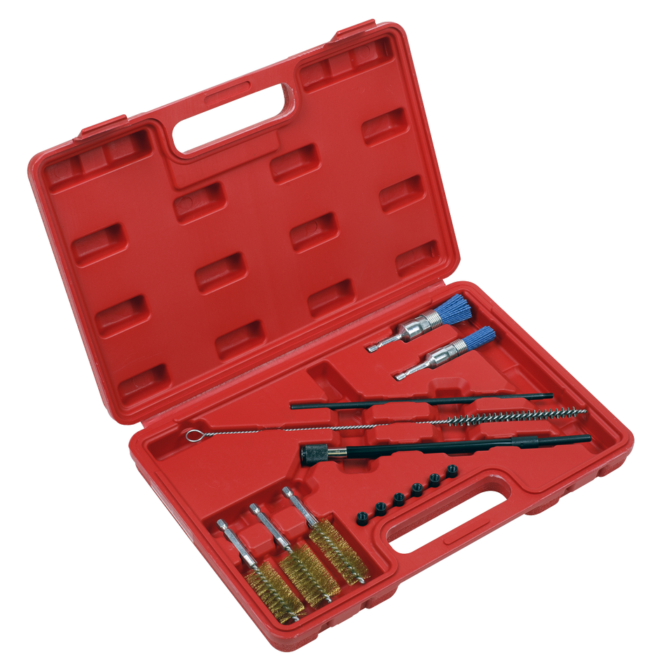 Sealey VS1900 14pc Injector Bore Cleaning Brush Set