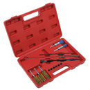 Sealey VS1900 14pc Injector Bore Cleaning Brush Set