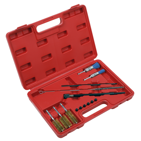 Sealey VS1900 14pc Injector Bore Cleaning Brush Set