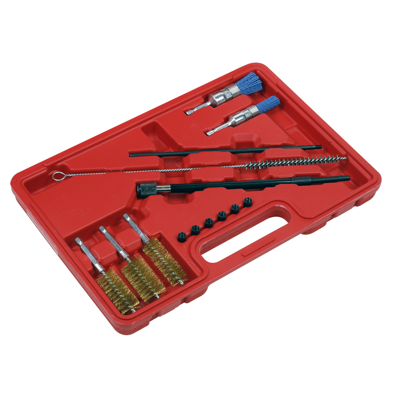 Sealey VS1900 14pc Injector Bore Cleaning Brush Set