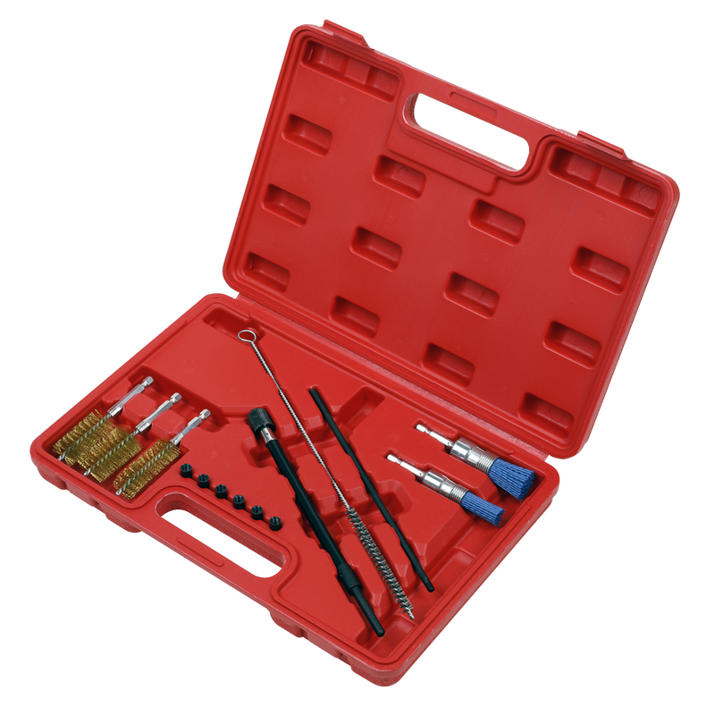 Sealey VS1900 14pc Injector Bore Cleaning Brush Set
