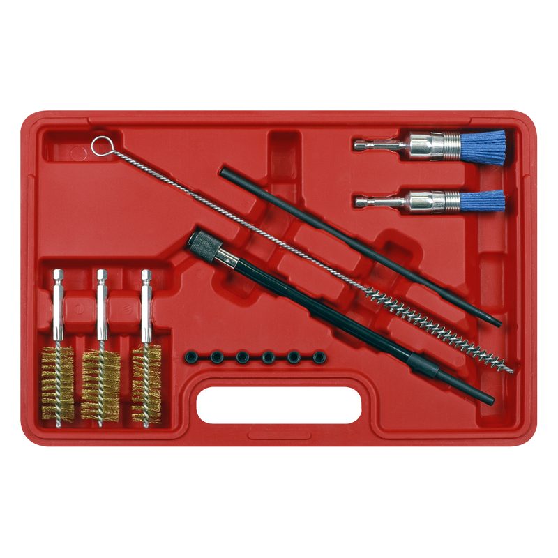 Sealey VS1900 14pc Injector Bore Cleaning Brush Set