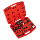 Sealey VS2064 Injector Master Kit