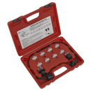 Sealey VS2131 11pc Noid Light/IAC Test Set