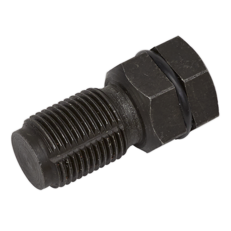 Sealey VS528 Oxygen Sensor Port Thread Chaser