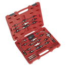 Sealey VS555 Diesel Fuel Priming Set