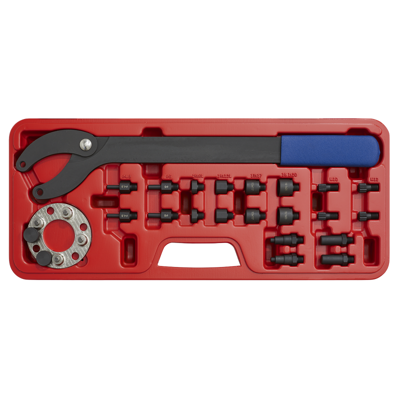 Sealey VS754 24pc Pulley Holding/Turning Set - VAG