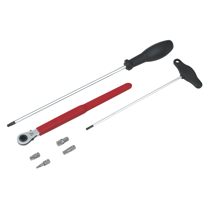 Sealey VS805 Door Hinge & Handle Removal Kit