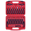 Sealey VS9203 23pc Terminal Tool Kit