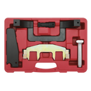 Sealey VSE4816 Petrol Engine Timing Tool Kit - for Mercedes 1.6, 1.8 M271 - Chain Drive