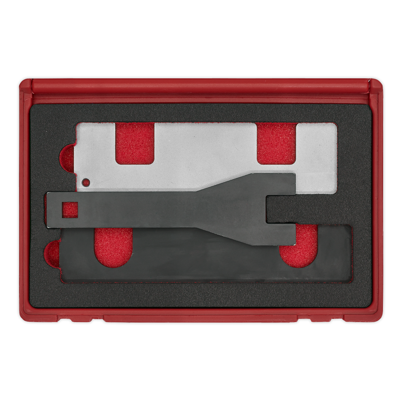 Sealey VSE5067 Petrol Engine Timing Tool Kit - for GM 1.0, 1.4 - Chain Drive