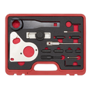 Sealey VSE5086A Diesel Engine Timing Tool Kit - for Renault, Mercedes, Nissan, GM 1.6D, 2.0, 2.3 dCi/CDTi - Chain Drive