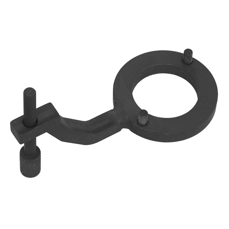 Sealey VSE5312 Fuel Pump Holding Tool - for Jaguar, Land Rover 3.0D - Belt Drive