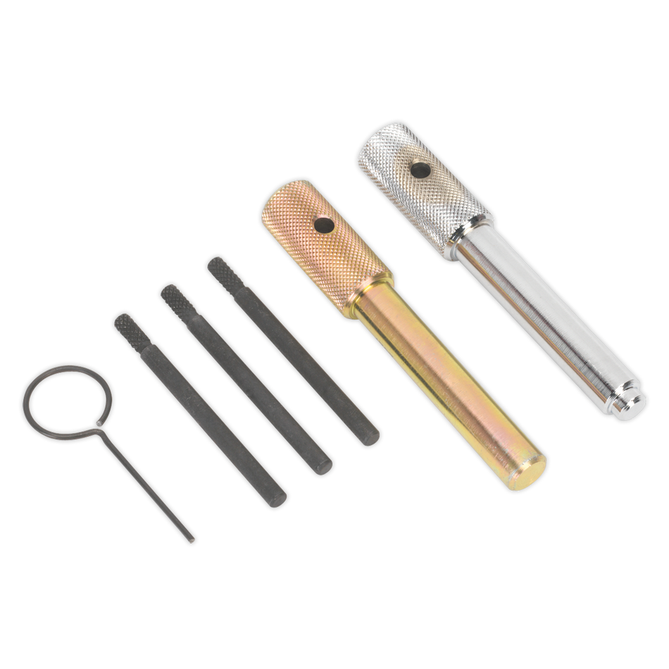 Sealey VSE5842 Diesel Engine Timing Tool Kit - for Fiat, Ford, JLR, LDV, PSA 2.0D, 2.2D, 2.4D, 3.2D - Chain Drive