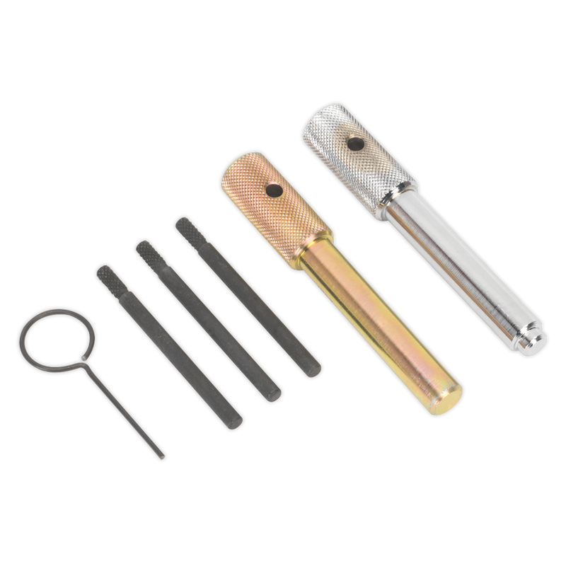 Sealey VSE5842 Diesel Engine Timing Tool Kit - for Fiat, Ford, JLR, LDV, PSA 2.0D, 2.2D, 2.4D, 3.2D - Chain Drive