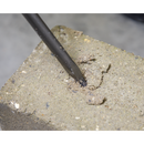 Sealey WDCS 13pc SDS Plus Drill Bit & Chisel Set