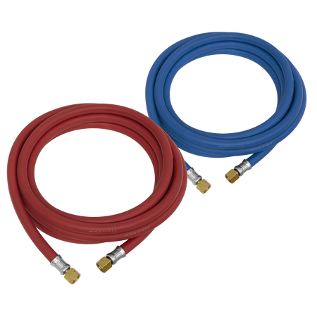 Sealey WH10 10m Oxyacetylene Welding Hose Set