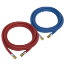 Sealey WH10 10m Oxyacetylene Welding Hose Set